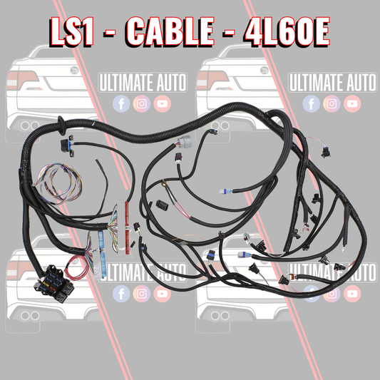 LS1 4L60E DRIVE BY CABLE Standalone wiring loom